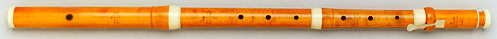 Type A Grenser flute by Folkers & Powell